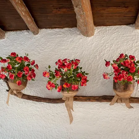 Vorto House Vakantiehuis Agios Leon