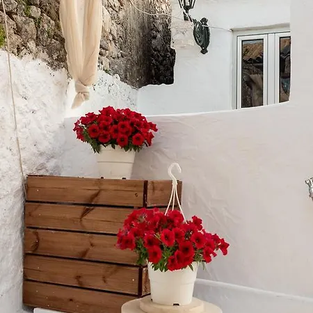 Vakantiehuis Vorto House *